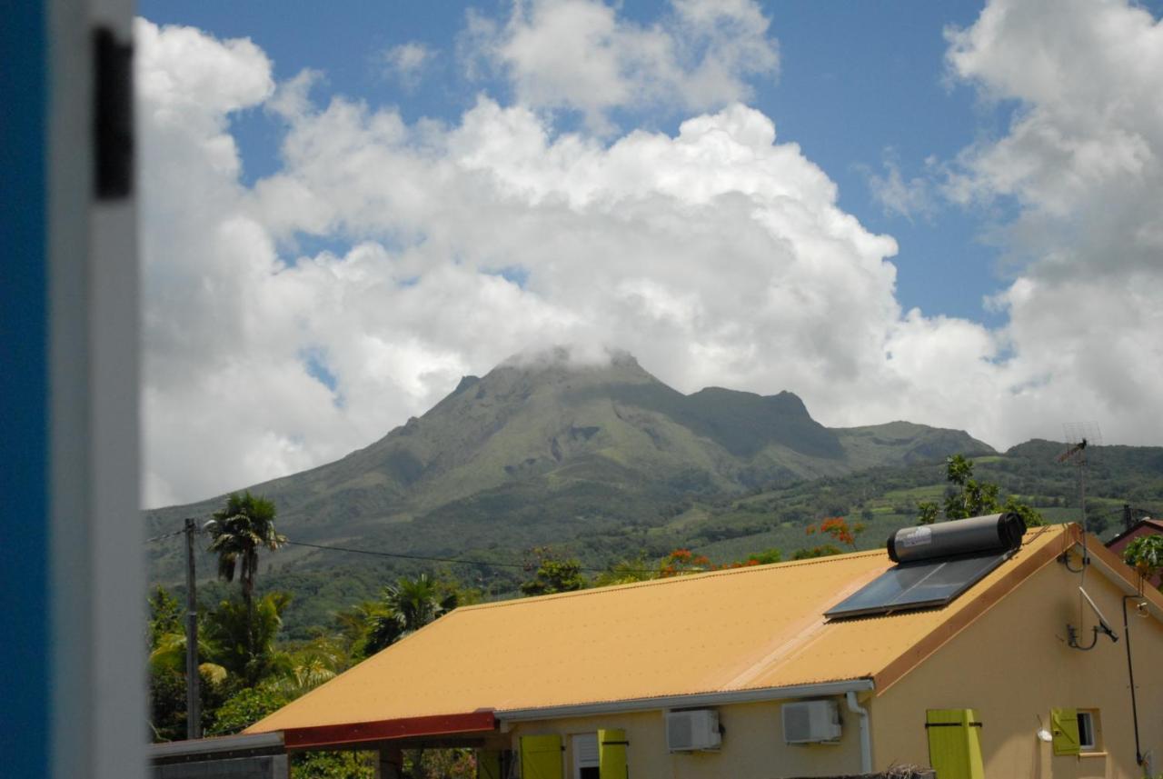 Le Goyavier Appartement Saint-Pierre Buitenkant foto