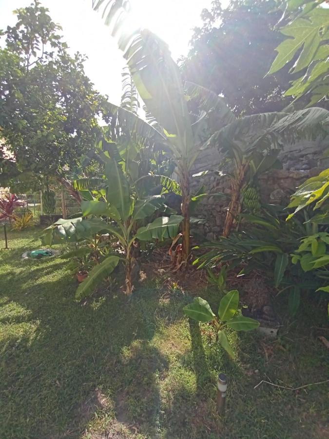 Le Goyavier Appartement Saint-Pierre Buitenkant foto